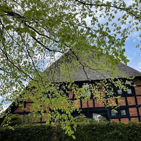 Ferienwohnung St. Dionyser Heidedorf Sankt Dionys Extérieur photo