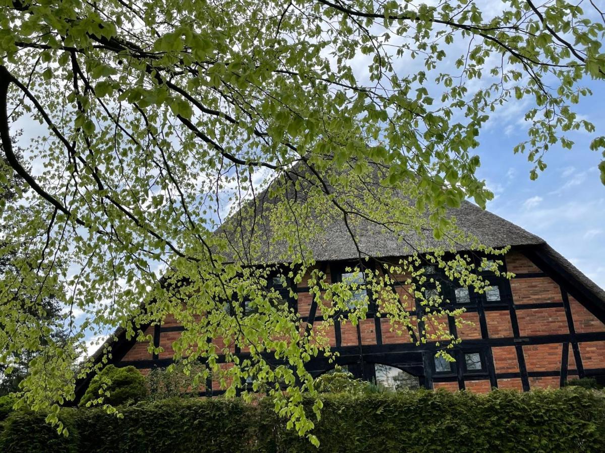 Ferienwohnung St. Dionyser Heidedorf Sankt Dionys Extérieur photo